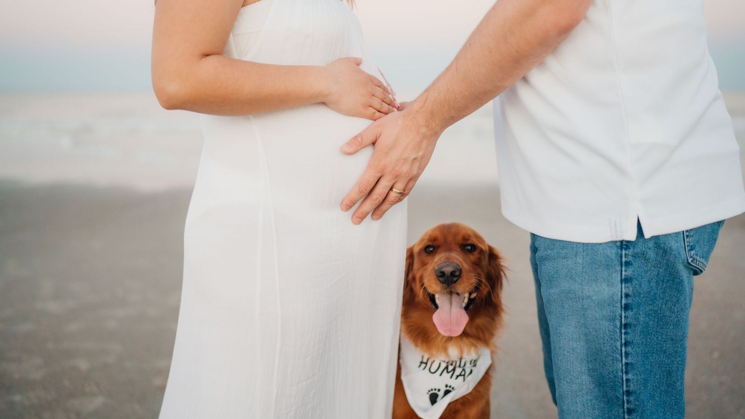 Pregnant couple in white outfits on beach with golden retriever dog wearing a bandana sitting between them.
