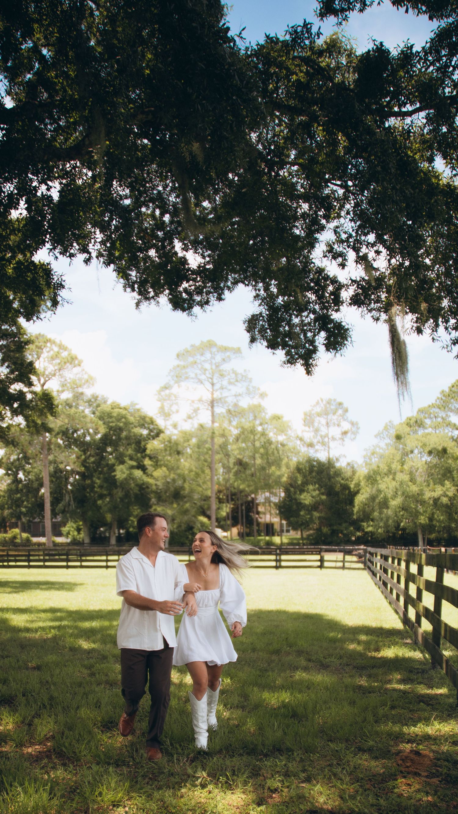 A romantic scene under oak trees as a couple dances in a sunlit pasture with wooden fences.