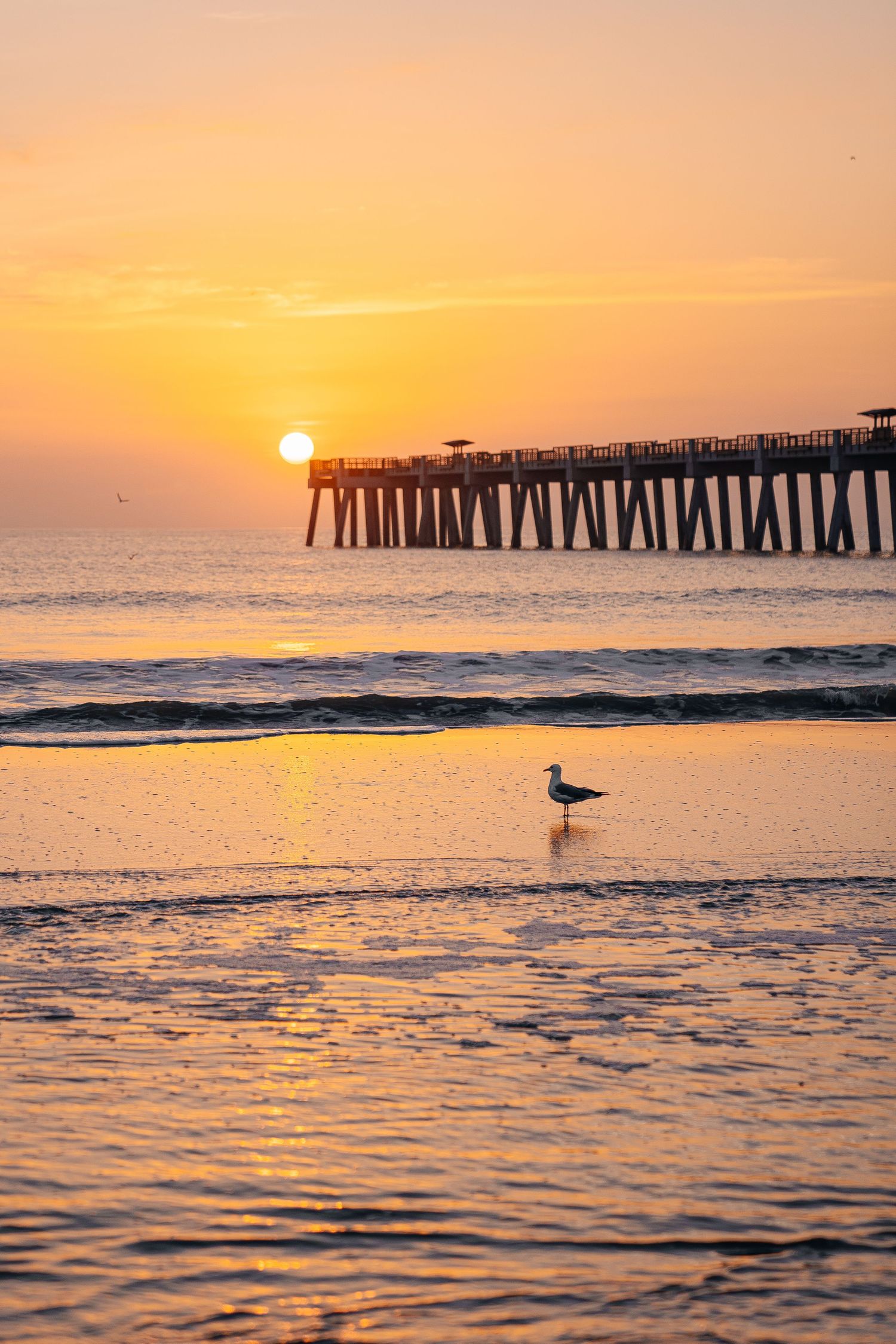 A scenic beach sunset with a seagull and pier silhouetted against orange sky.