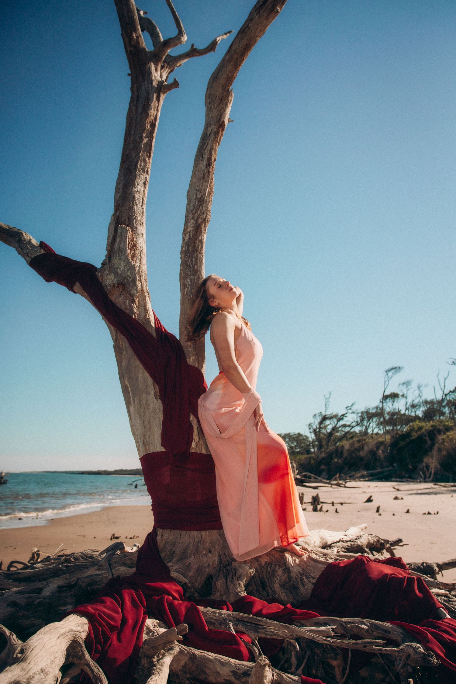 Beachside photoshoot with driftwood tree and ocean backdrop on clear day.