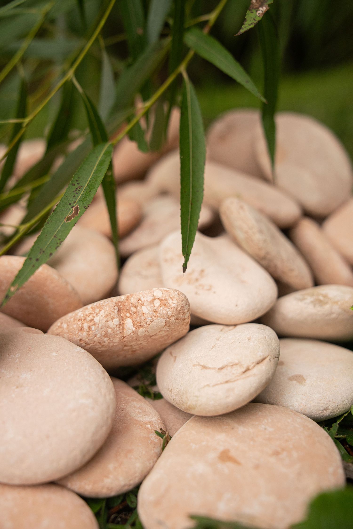 Smooth beige pebbles stacked in a zen garden with green bamboo leaves draping over the stones.