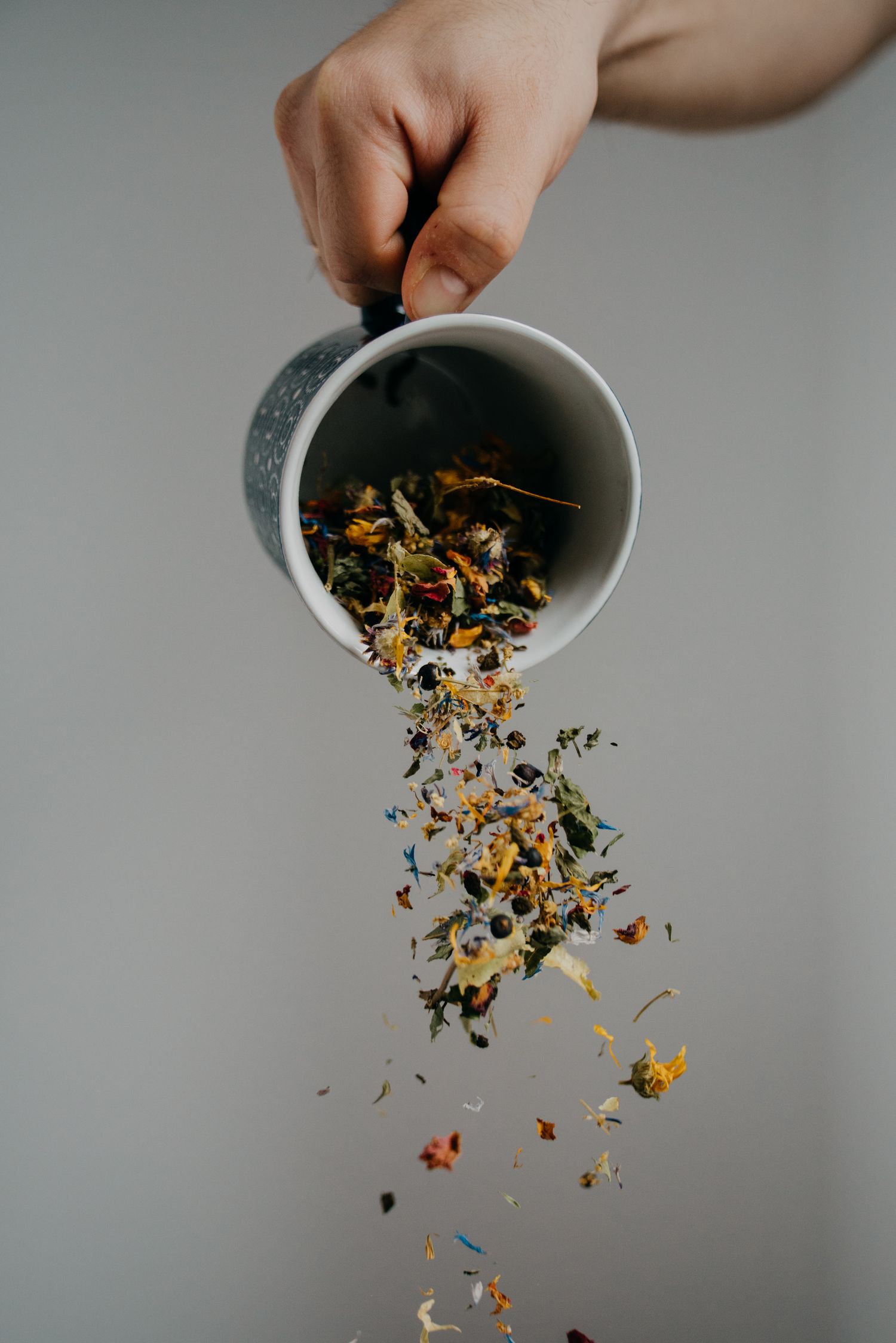Hand pouring dried herbal tea blend with colorful flowers falling from a white ceramic mug on gray background.