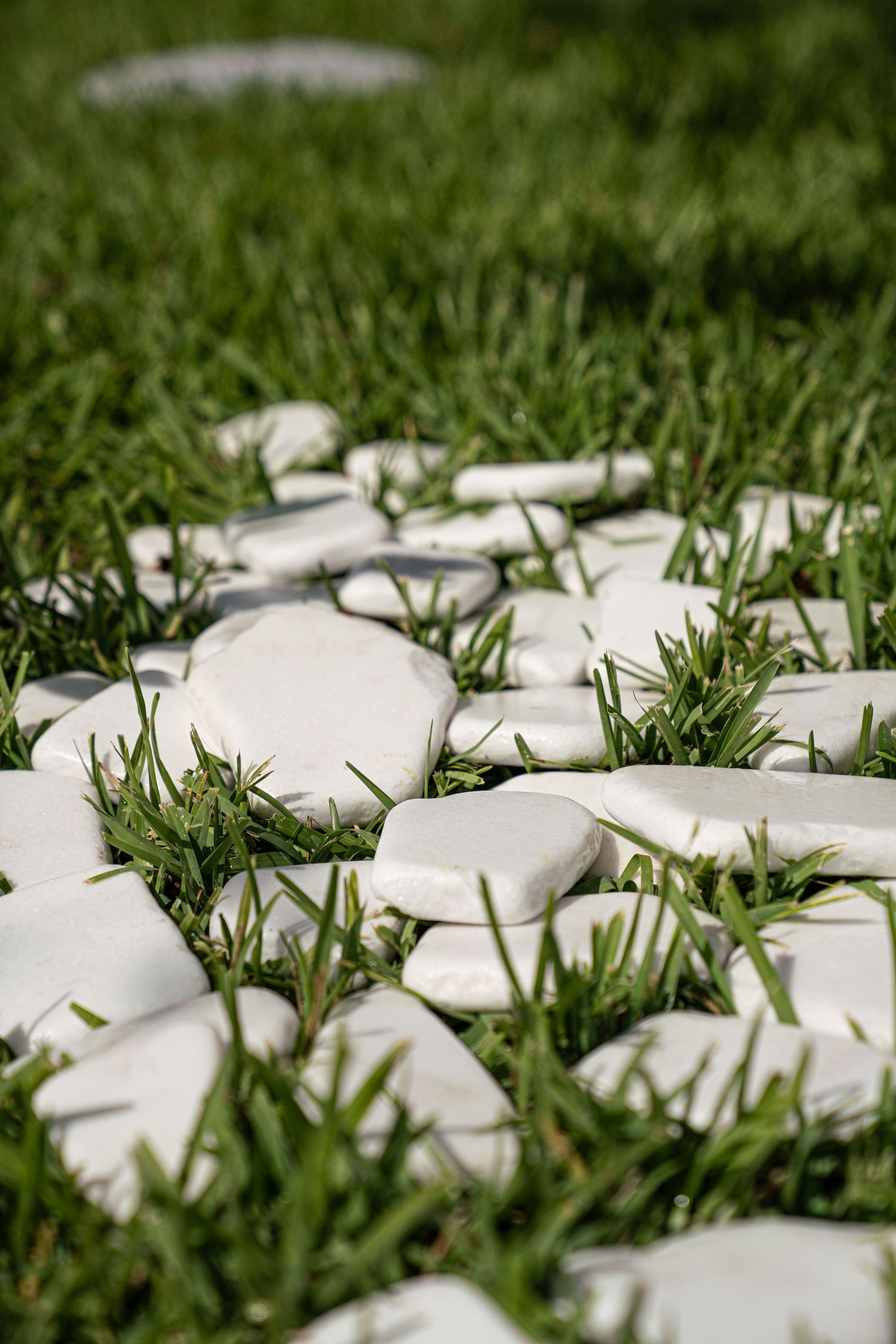 White smooth stones scattered among vibrant green grass in a garden setting.