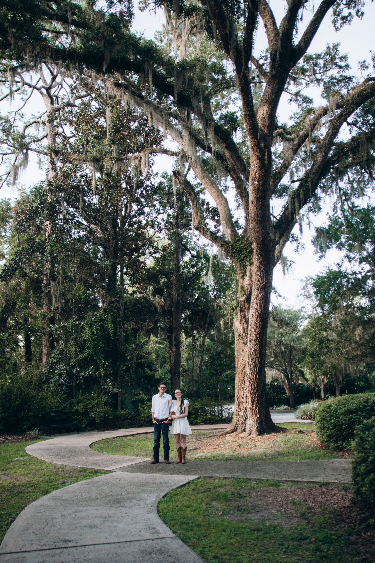 A couple walks together on a winding concrete path beneath a majestic Spanish moss-draped oak tree in a park.