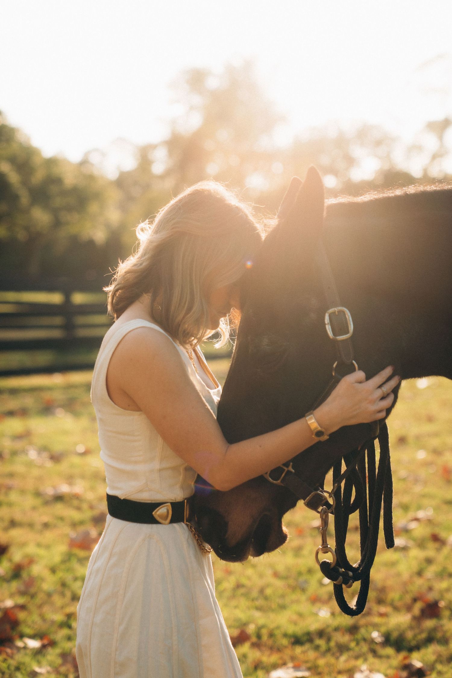 A gentle interaction with a black horse against a sunset backdrop.