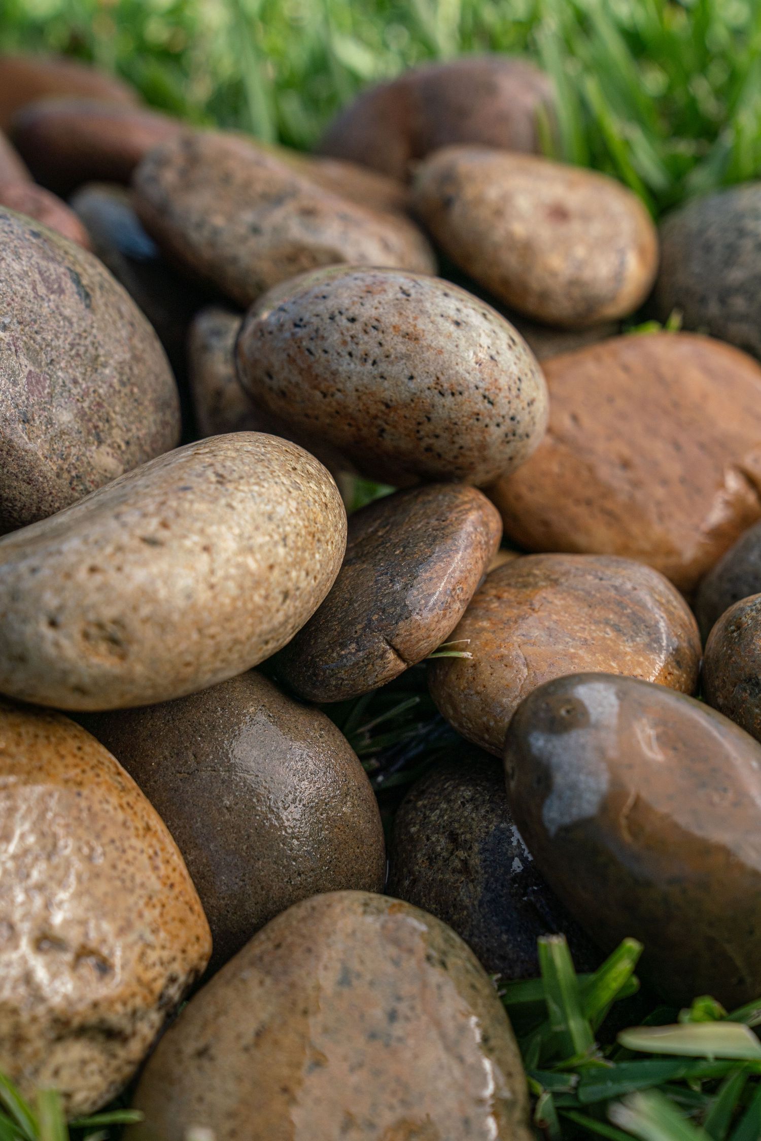 Close-up of mixed brown and gray smooth river rocks piled on green grass in sunlight.