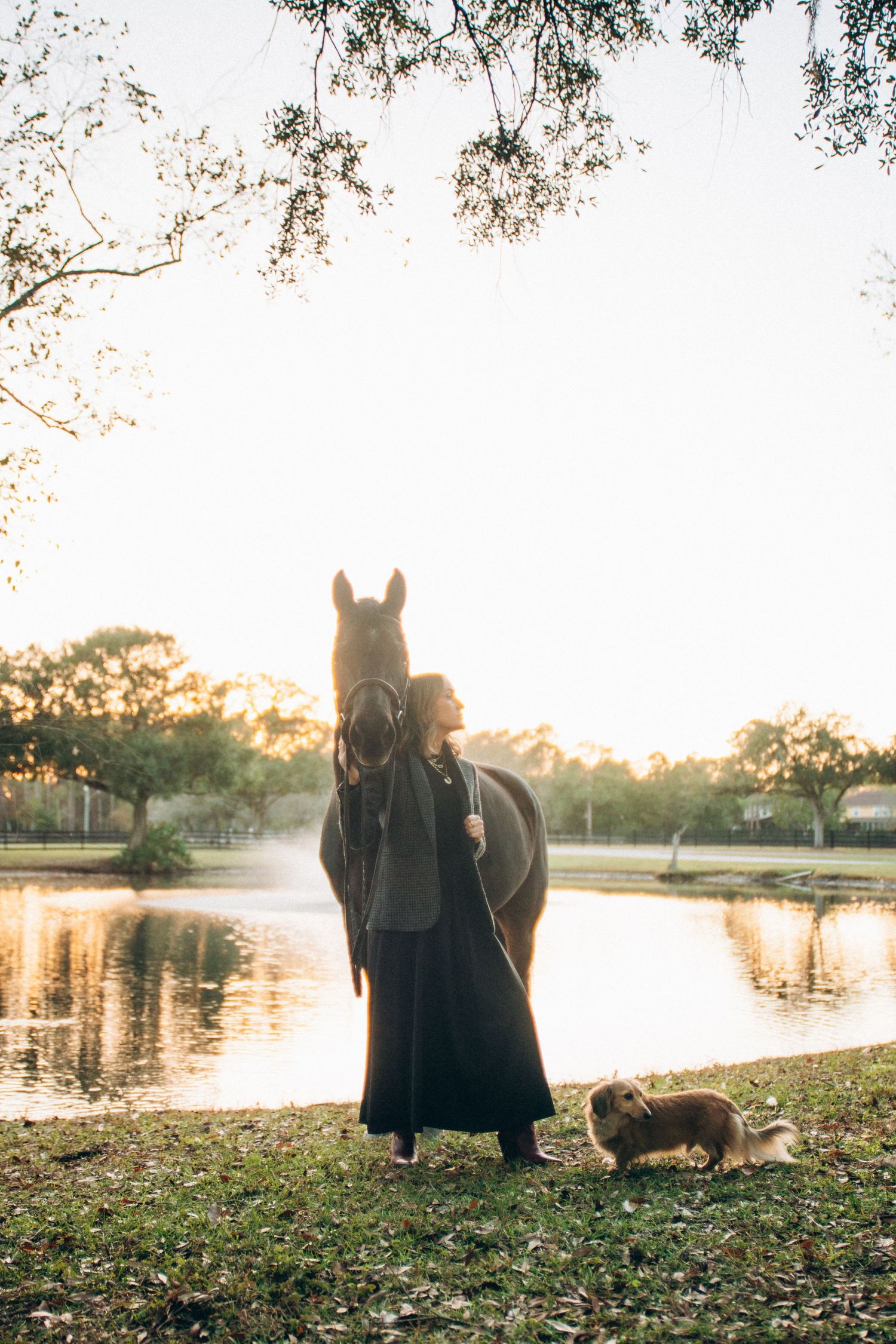A black horse stands near a tranquil pond at sunset with fallen leaves scattered on the ground.