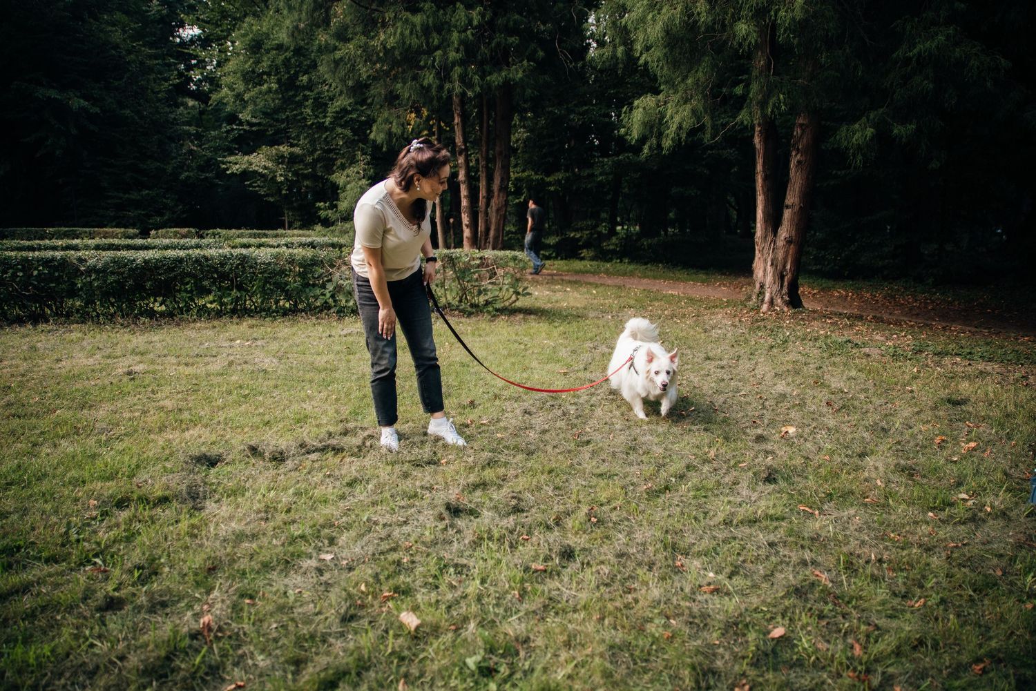 Woman walking a fluffy white dog on a red leash in a lush green park.