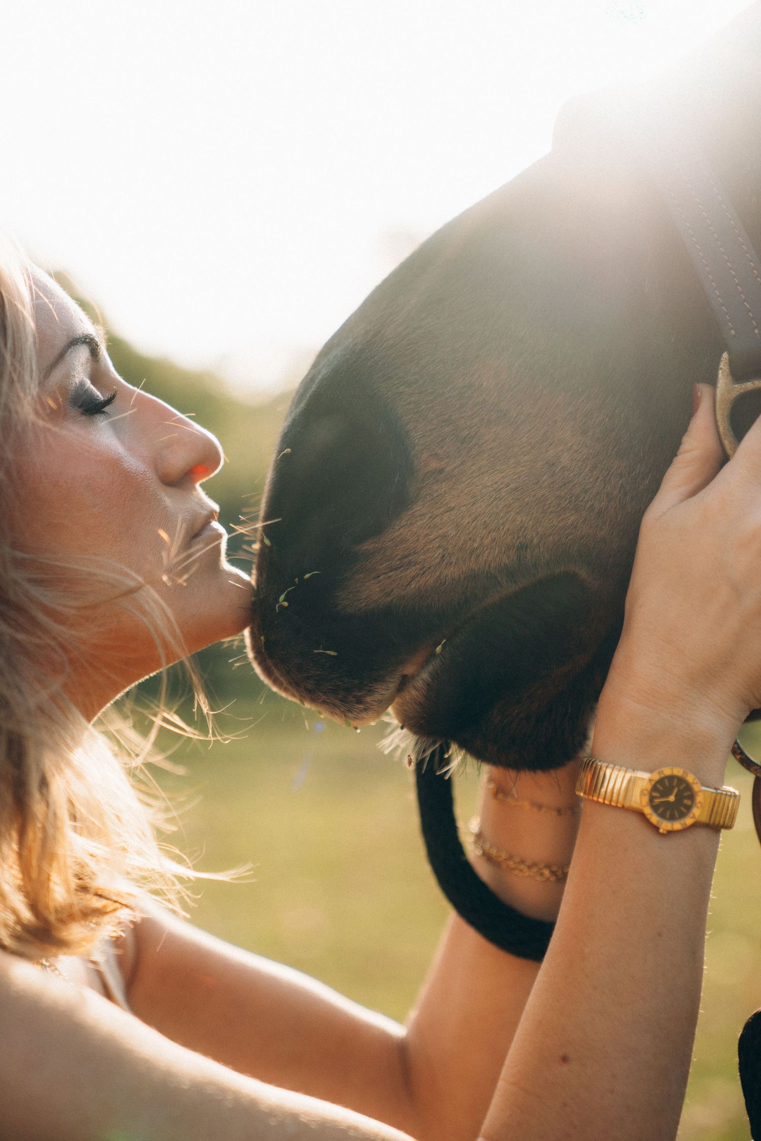 A tender moment between a horse and companion in golden sunlight.