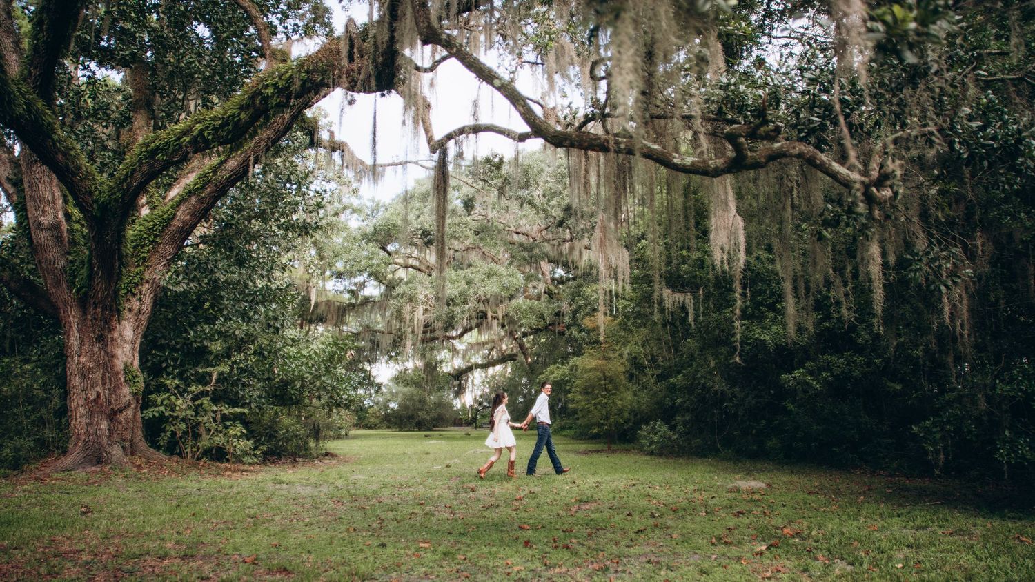 A panoramic view of a lush forest path with moss-covered trees and two people walking in the distance.