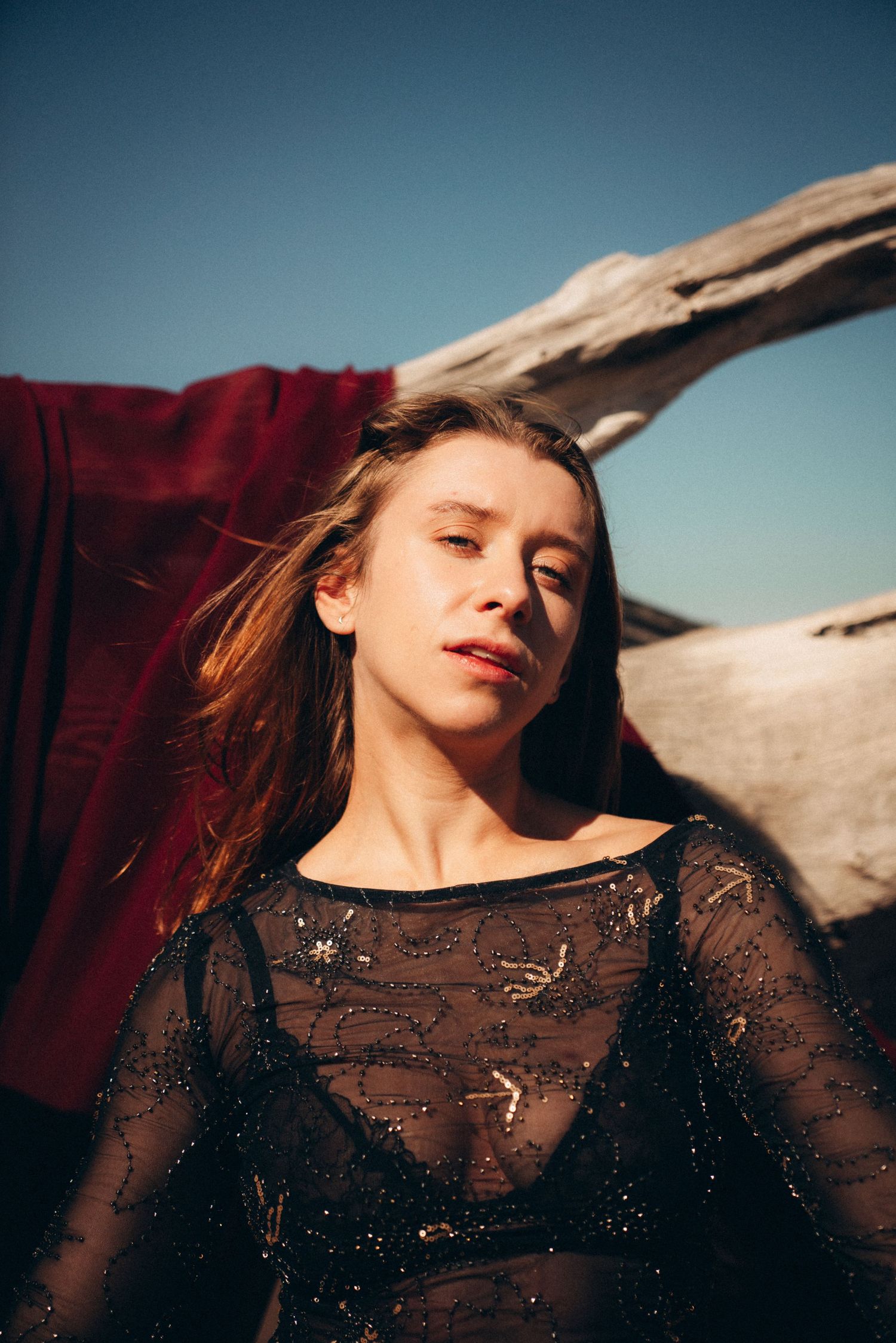 A dreamy portrait of someone in a sheer black top against a blue sky with driftwood in the background.