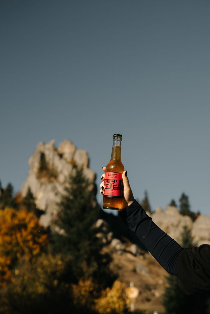A hand holding a beer bottle against a scenic mountain backdrop with trees and clear blue sky.