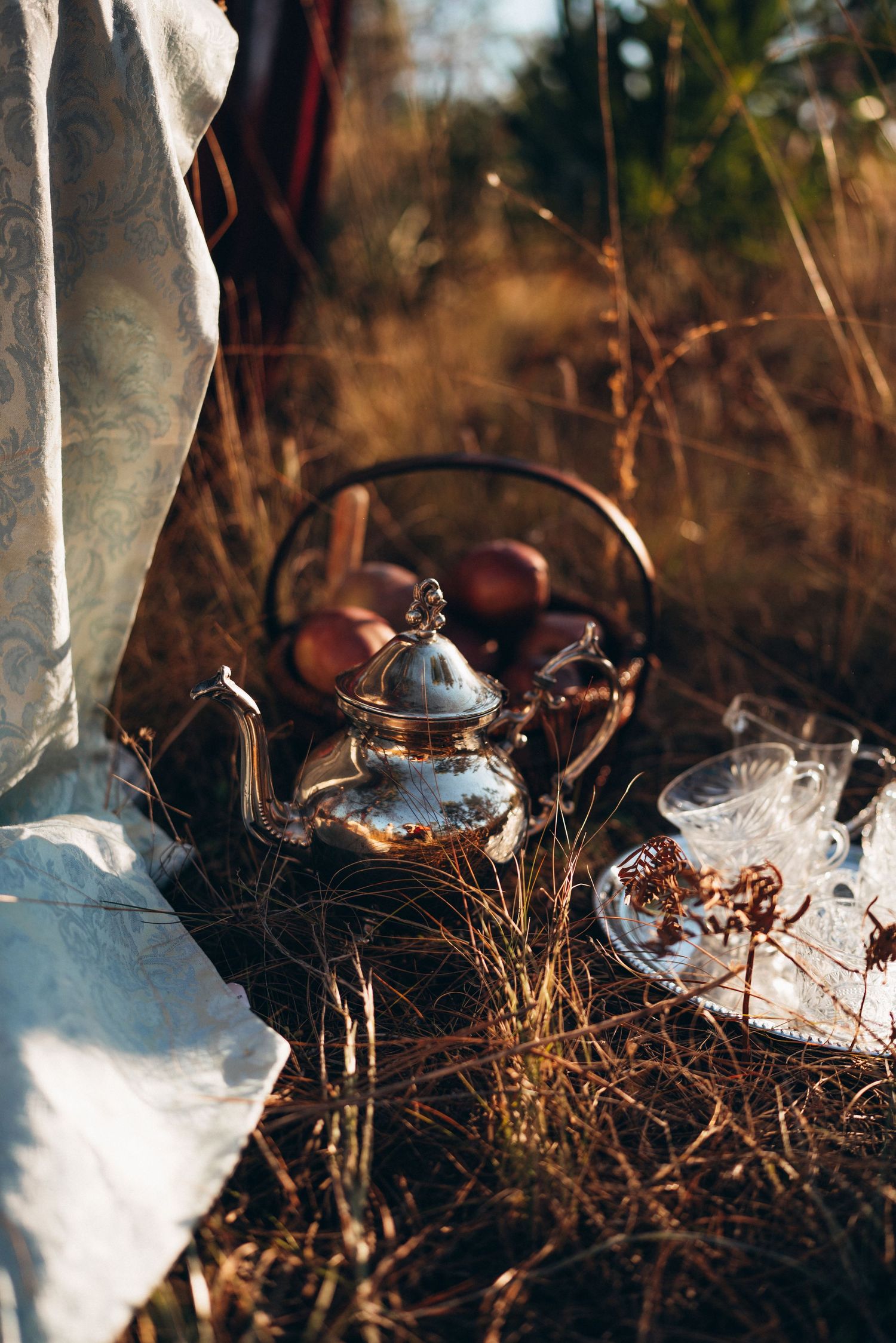 Vintage silver teapot and basket of apples on dry grass in a sunlit autumn field for an outdoor tea setting.