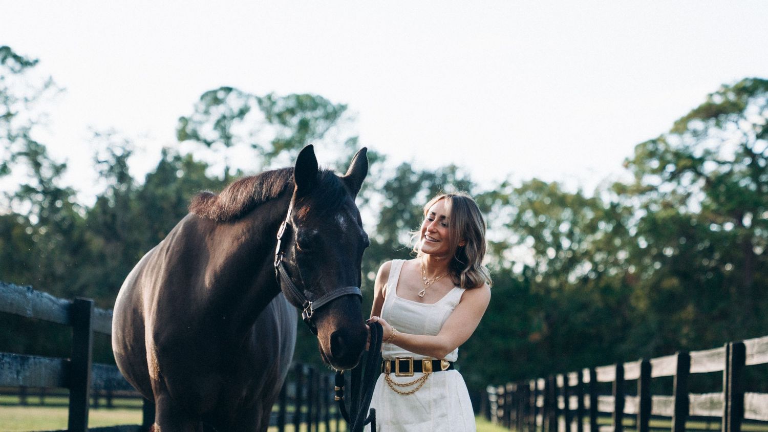 A horse and person share a tender moment in a sunlit pasture with wooden fencing.