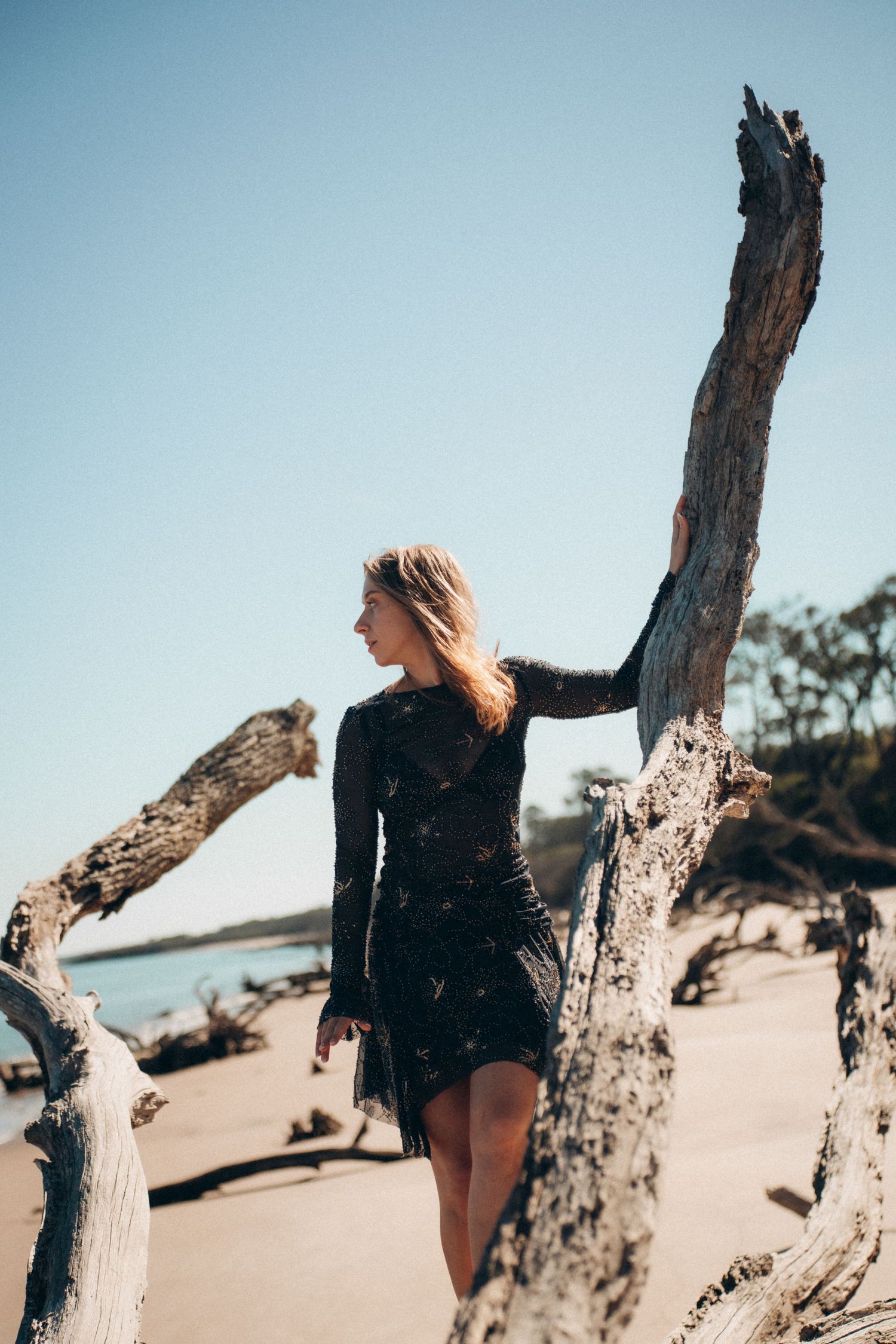 Artistic beach photography with driftwood branches against clear blue sky and sandy shore.