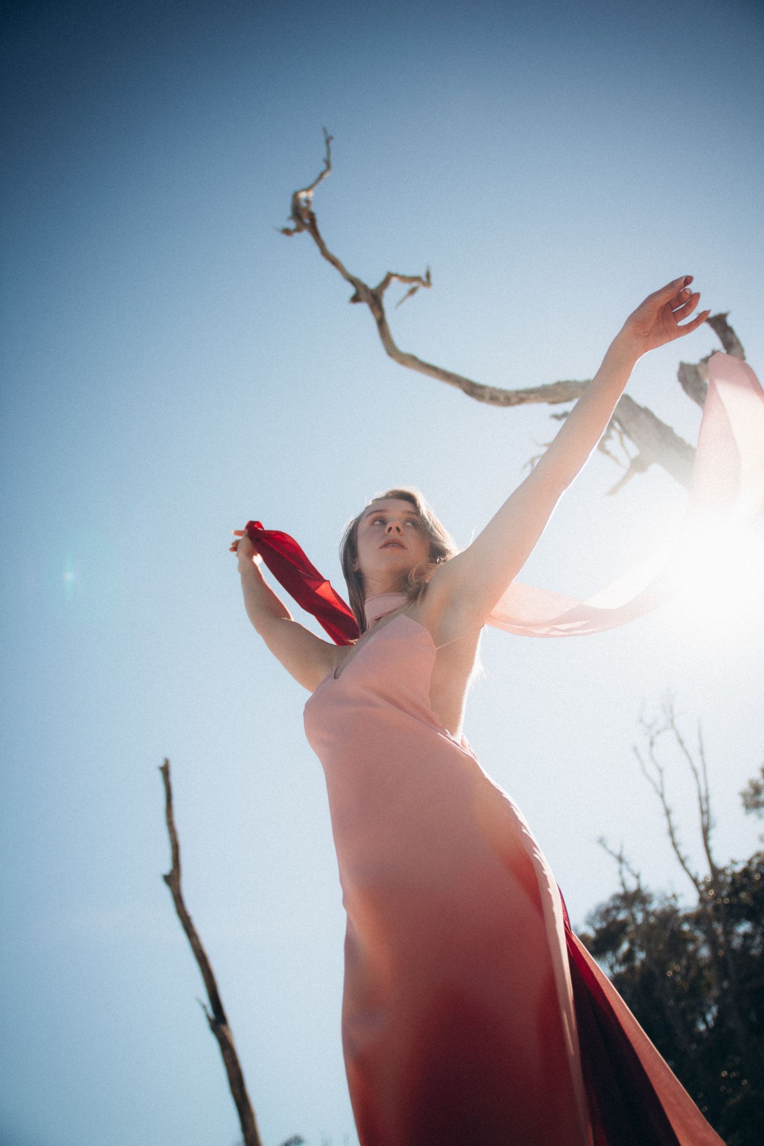 A figure in a flowing pink dress reaches upward against a bright blue sky with bare tree branches in the background.