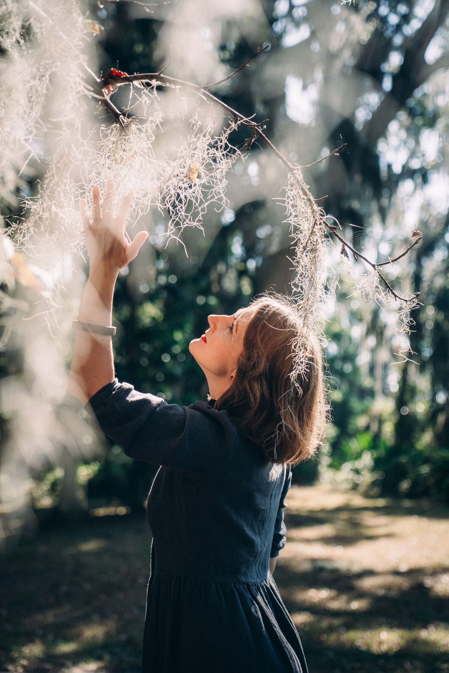 A person reaches up to touch hanging Spanish moss in a sunlit forest scene.