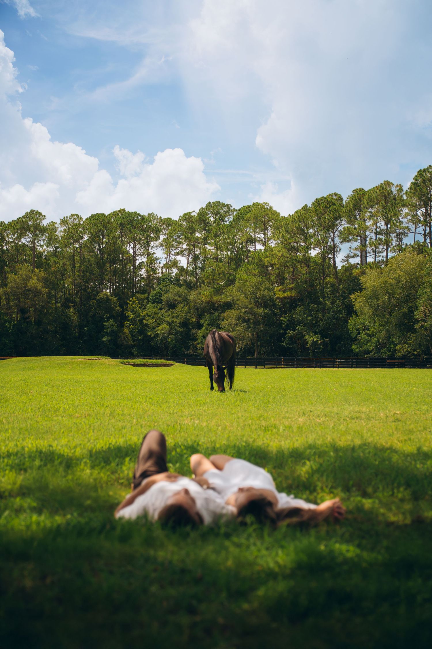 Dreamy pastoral scene with figures lying in grass and horses grazing under blue skies.