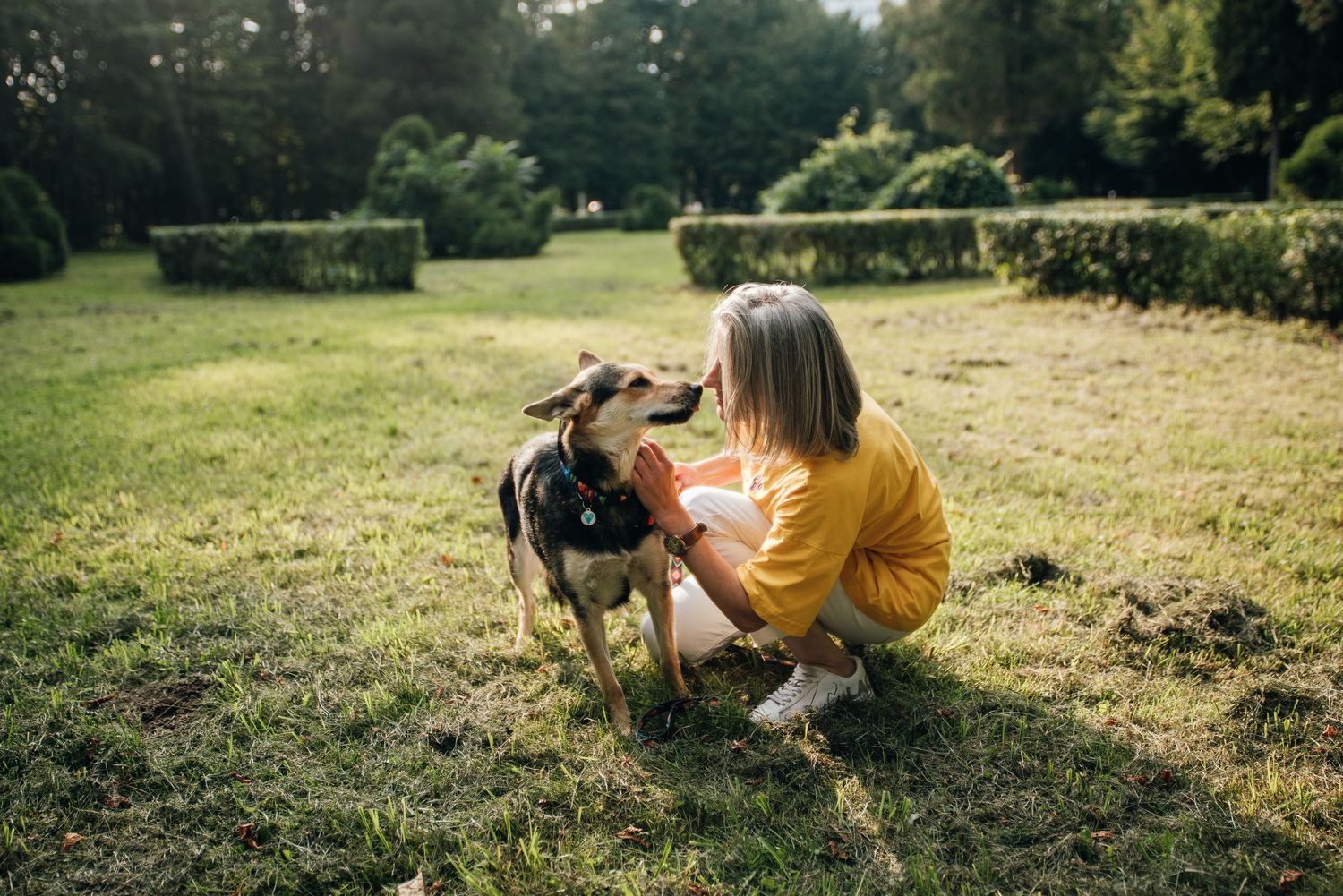 Woman in yellow shirt crouching on grass petting a black and tan dog in a sunny green park.