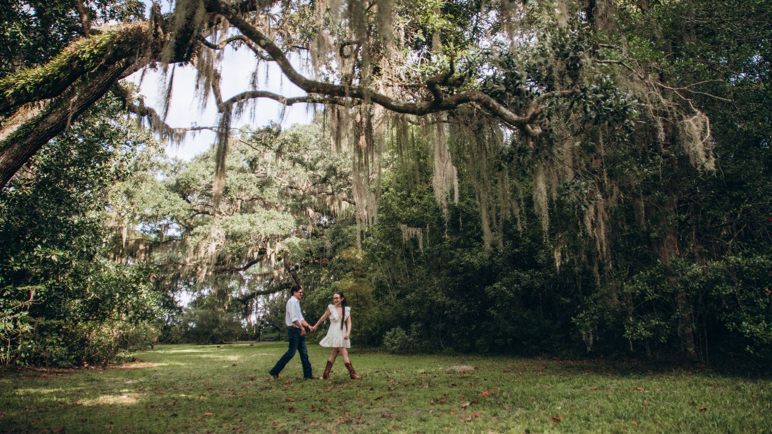 Spanish moss drapes over oak trees creating a natural canopy along a scenic pathway.