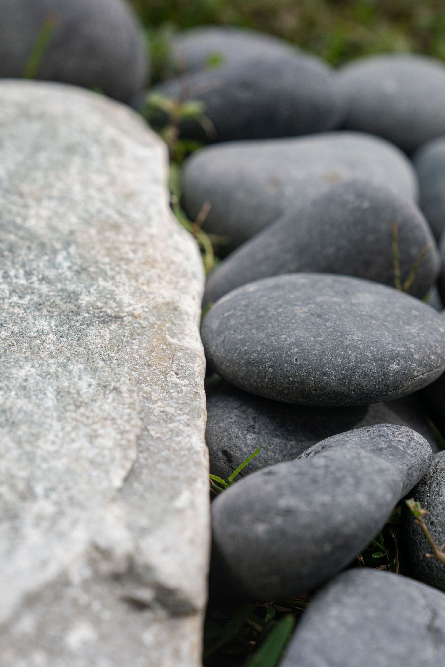 Close-up of smooth gray river pebbles beside a flat white rock with green grass in between.