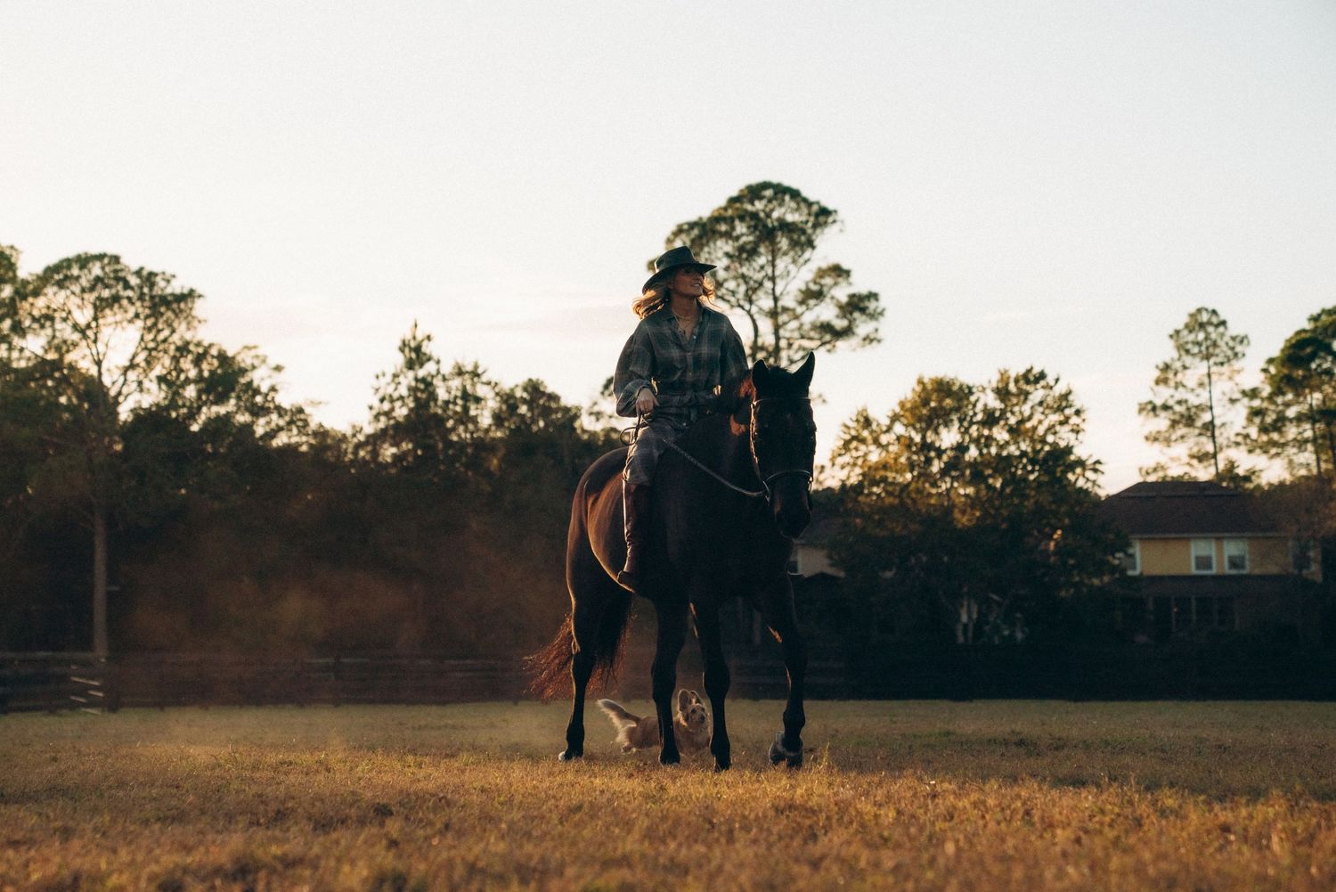 A silhouetted horse and rider traverse a field at dusk.