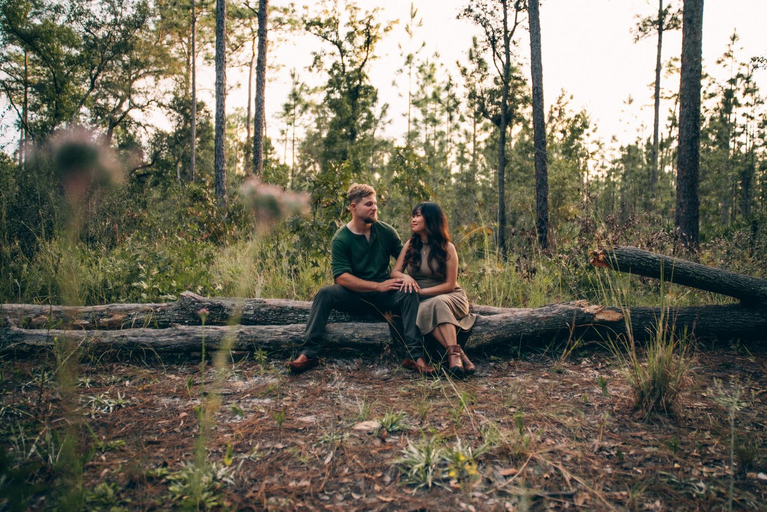 Natural outdoor photo sequence showing intimate moments among pine trees and sunlight.