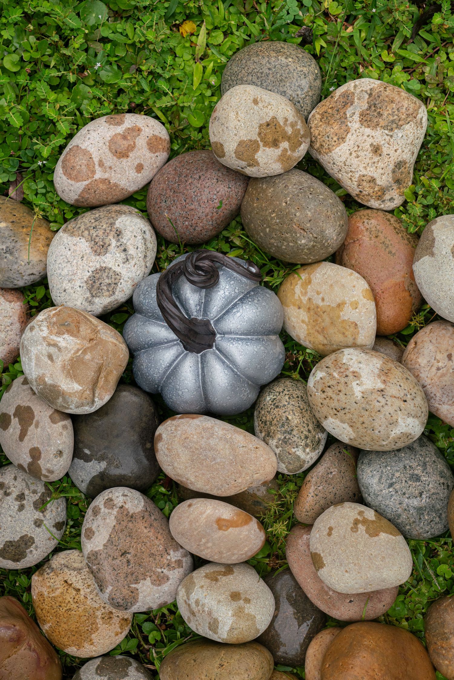 Silver decorative pumpkin surrounded by colorful smooth river rocks on green moss ground cover.