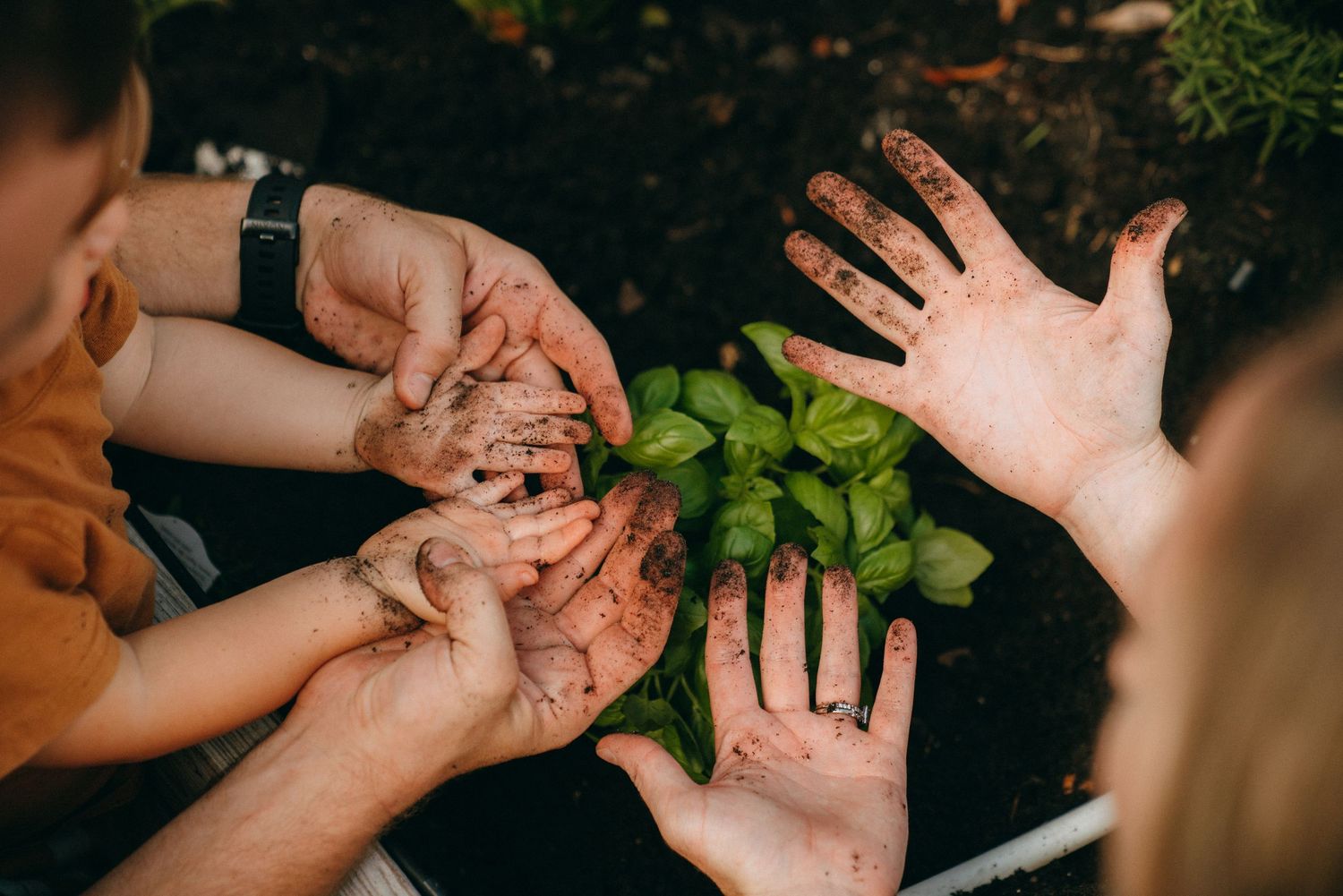 Close-up of hands touching and playing in an intimate family moment outdoors.