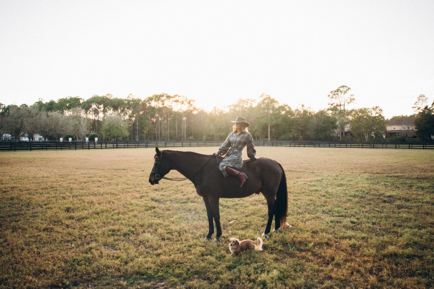 A person stands in a golden field at sunset with a majestic horse creating a serene countryside scene.