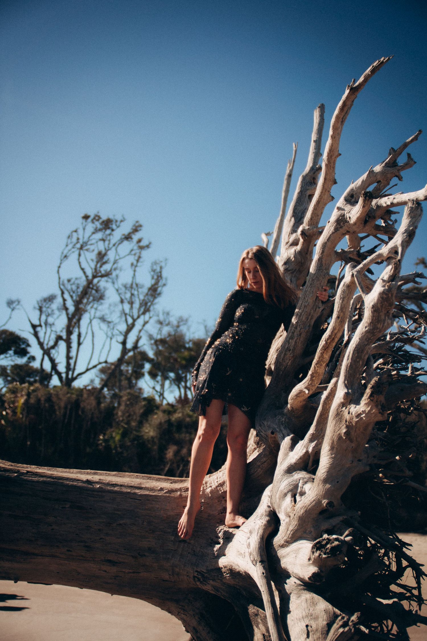 Artistic beach photoshoot featuring a person posing on bleached driftwood against a bright blue sky.