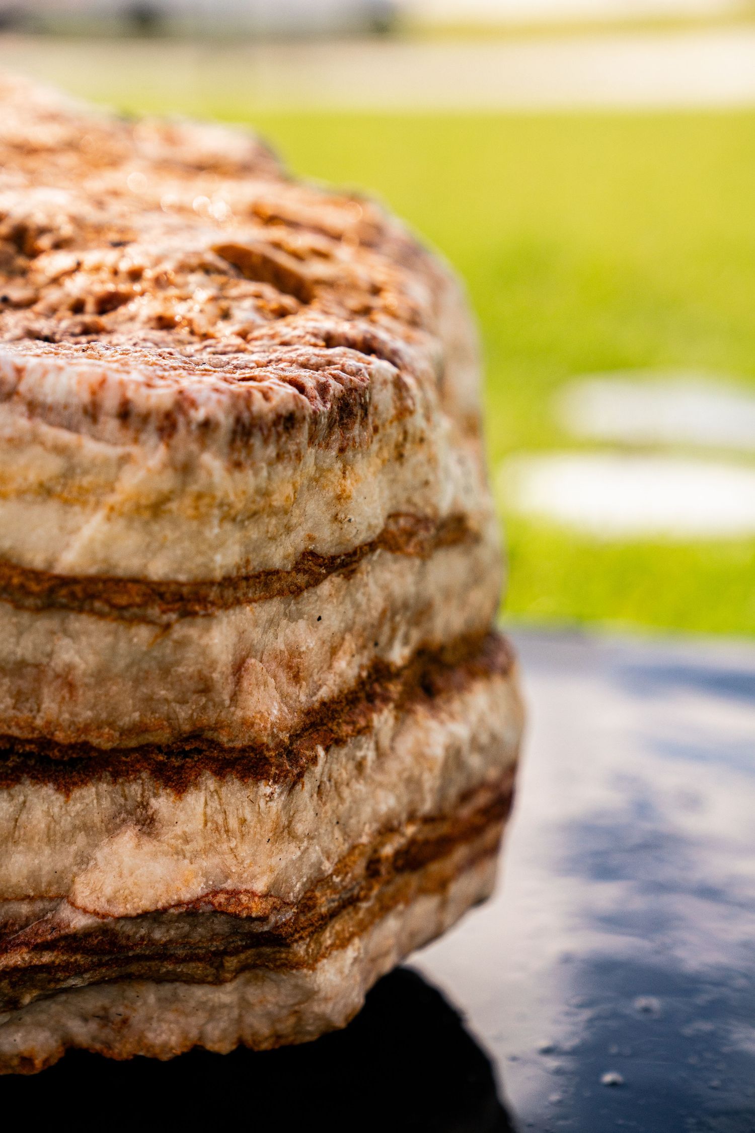 Macro shot of a layered sedimentary rock with brown and cream banding patterns on dark surface outdoors.