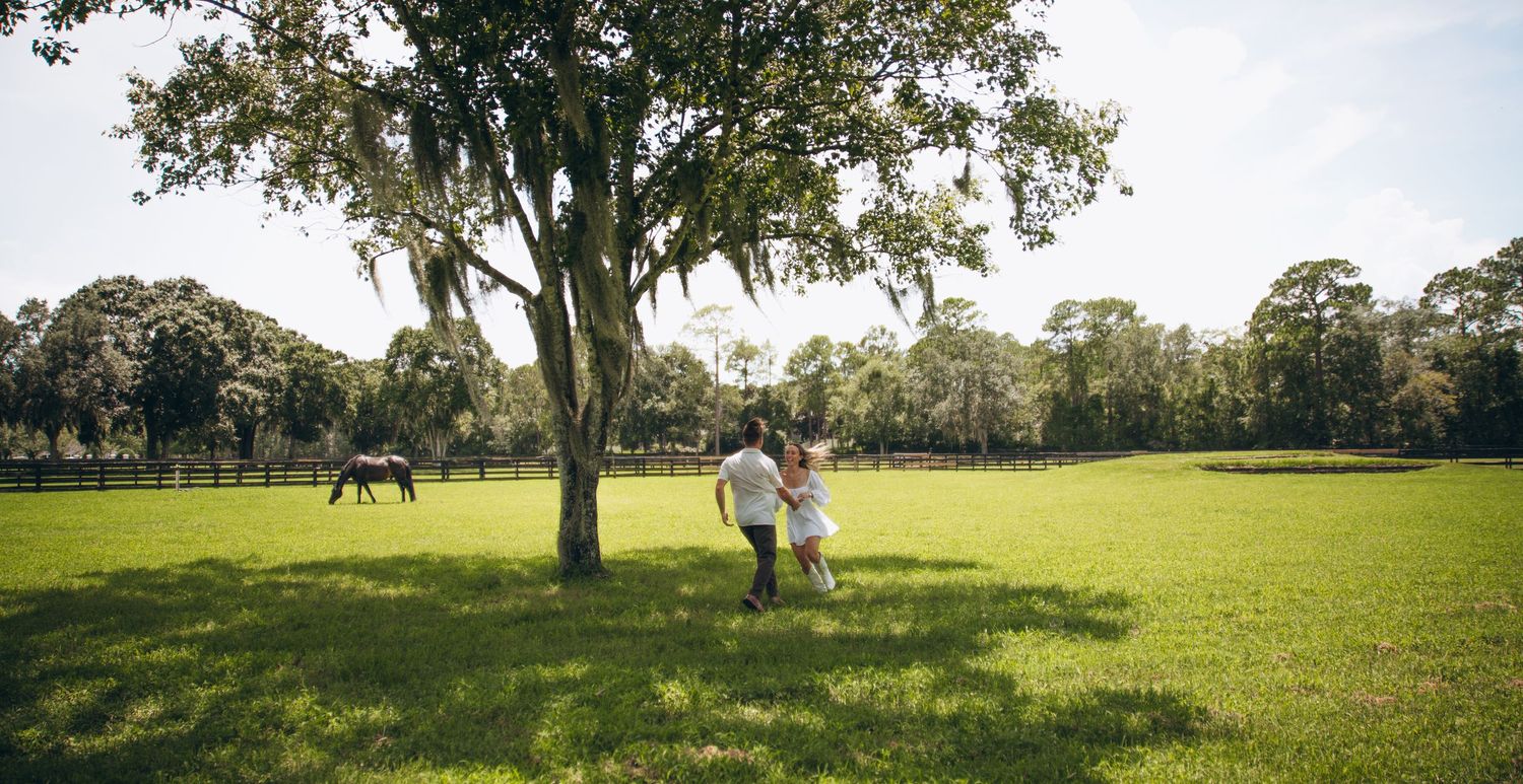 Panoramic view of a lush green pasture with oak trees and horses.
