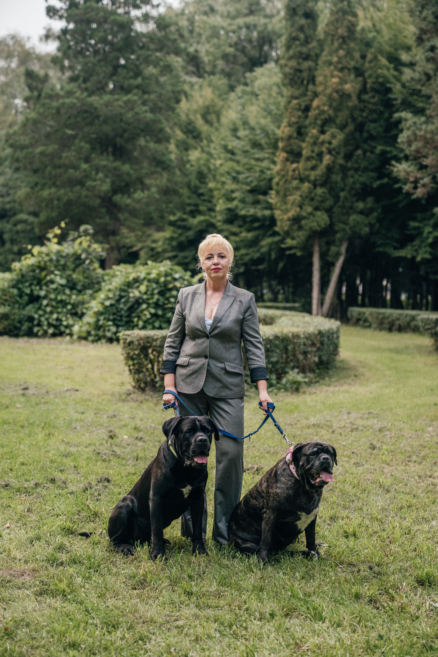 Elegant woman in gray suit standing with two black Cane Corso dogs on leashes in a lush green park.