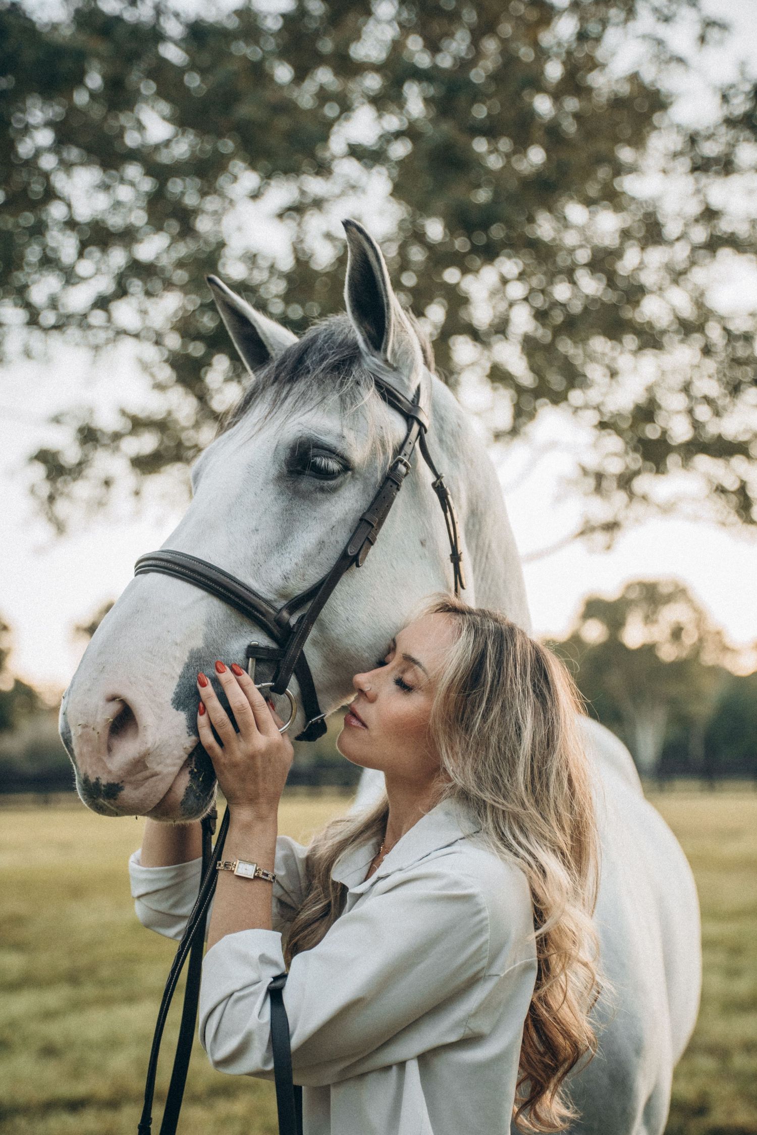 Emotional connection between person and white horse captured in golden hour lighting.