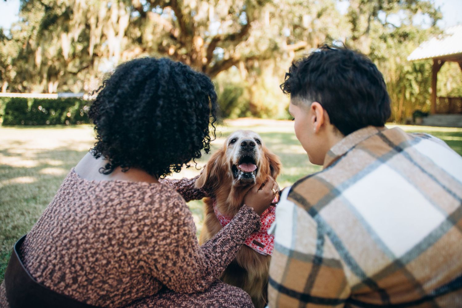 A couple and their golden retriever relax together outdoors on a sunny day.