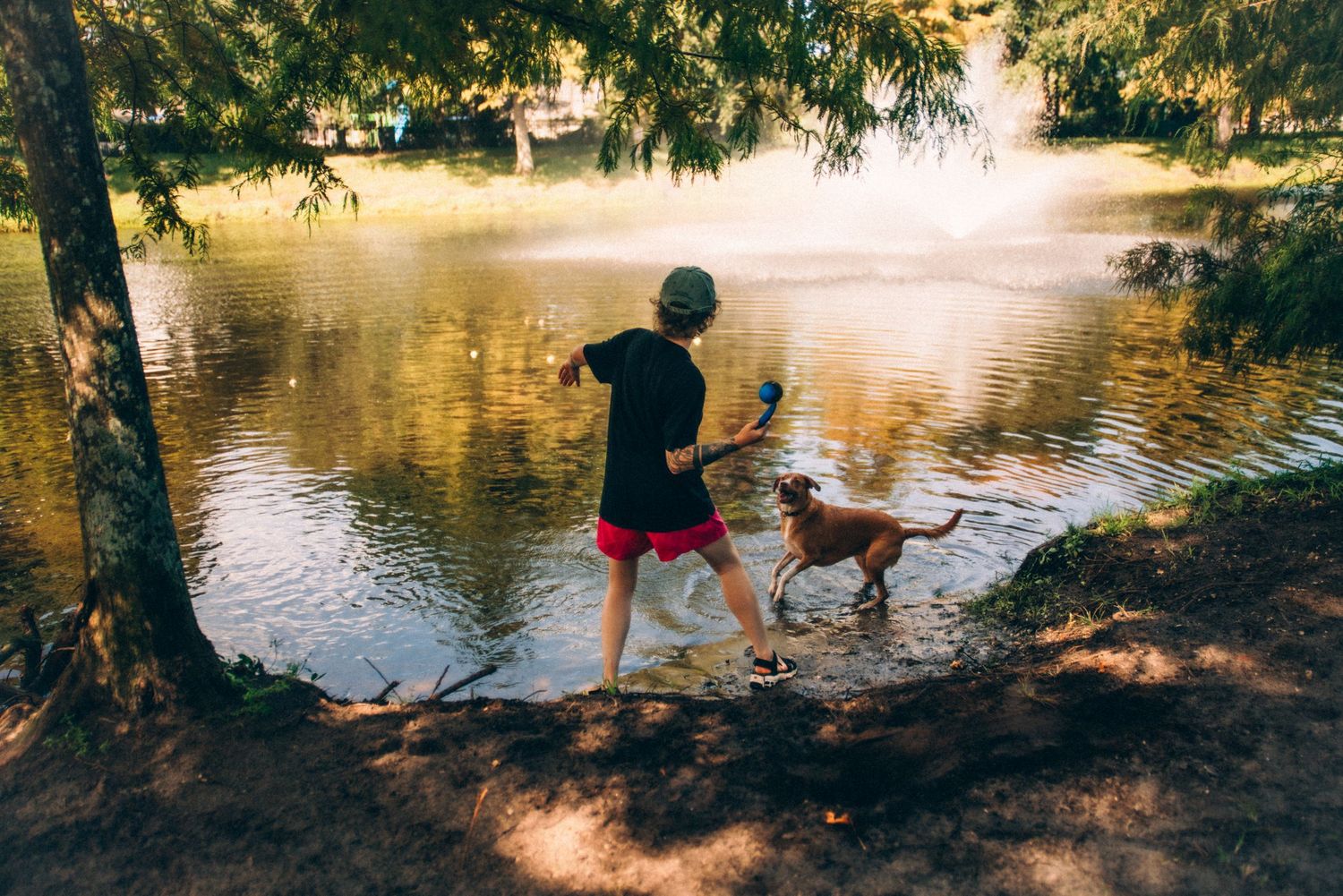 Scenic view of a lake surrounded by trees with figures enjoying a summer day by the water.