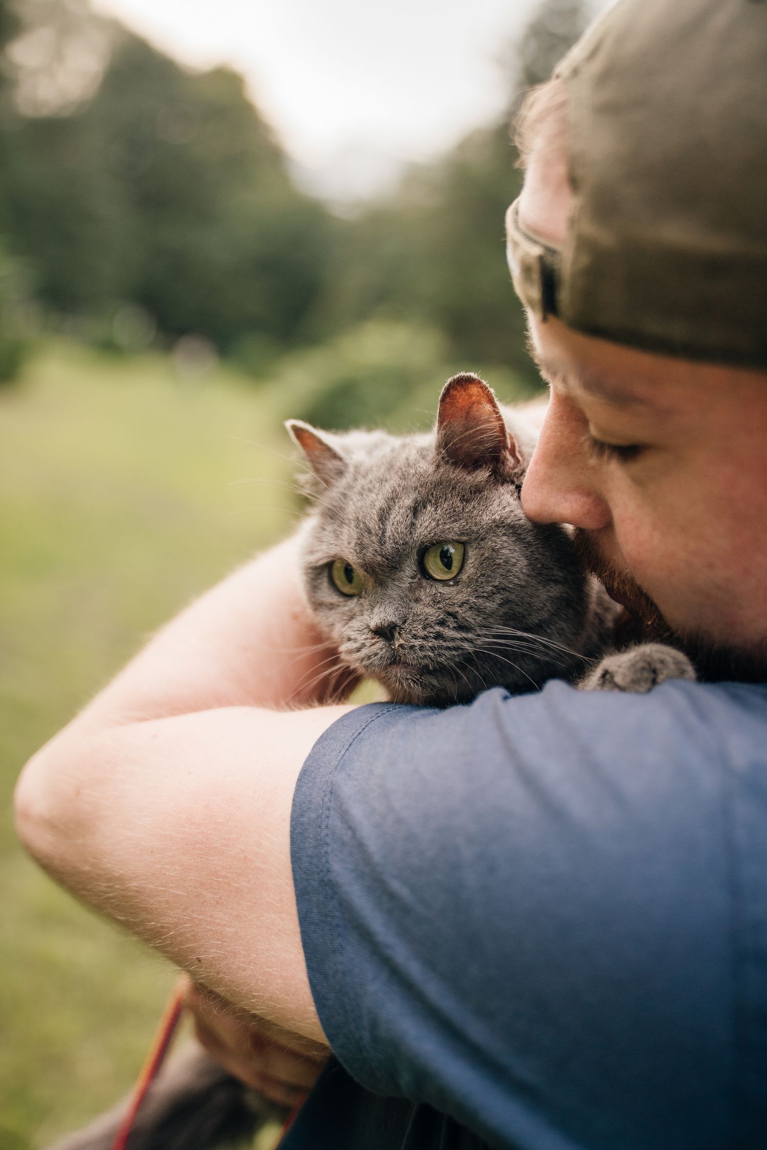 Bearded man in blue shirt tenderly kissing a gray British Shorthair cat outdoors in nature.