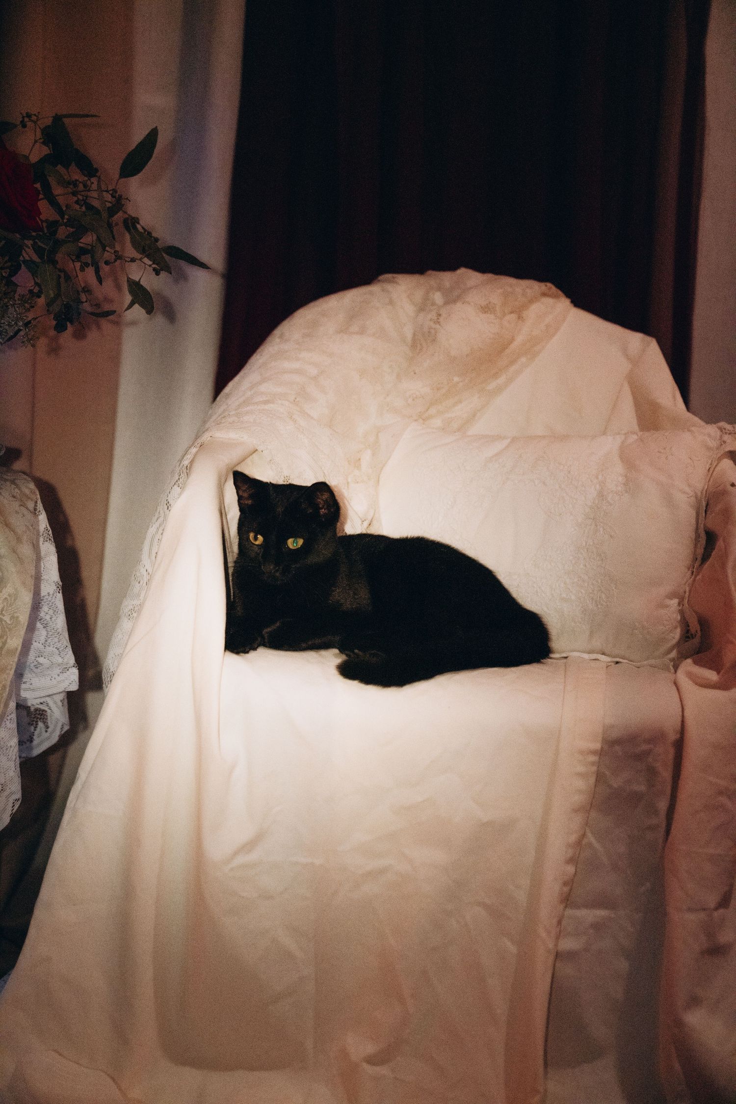 A sleek black cat with bright yellow eyes resting on a white cushioned chair draped with a white cloth.