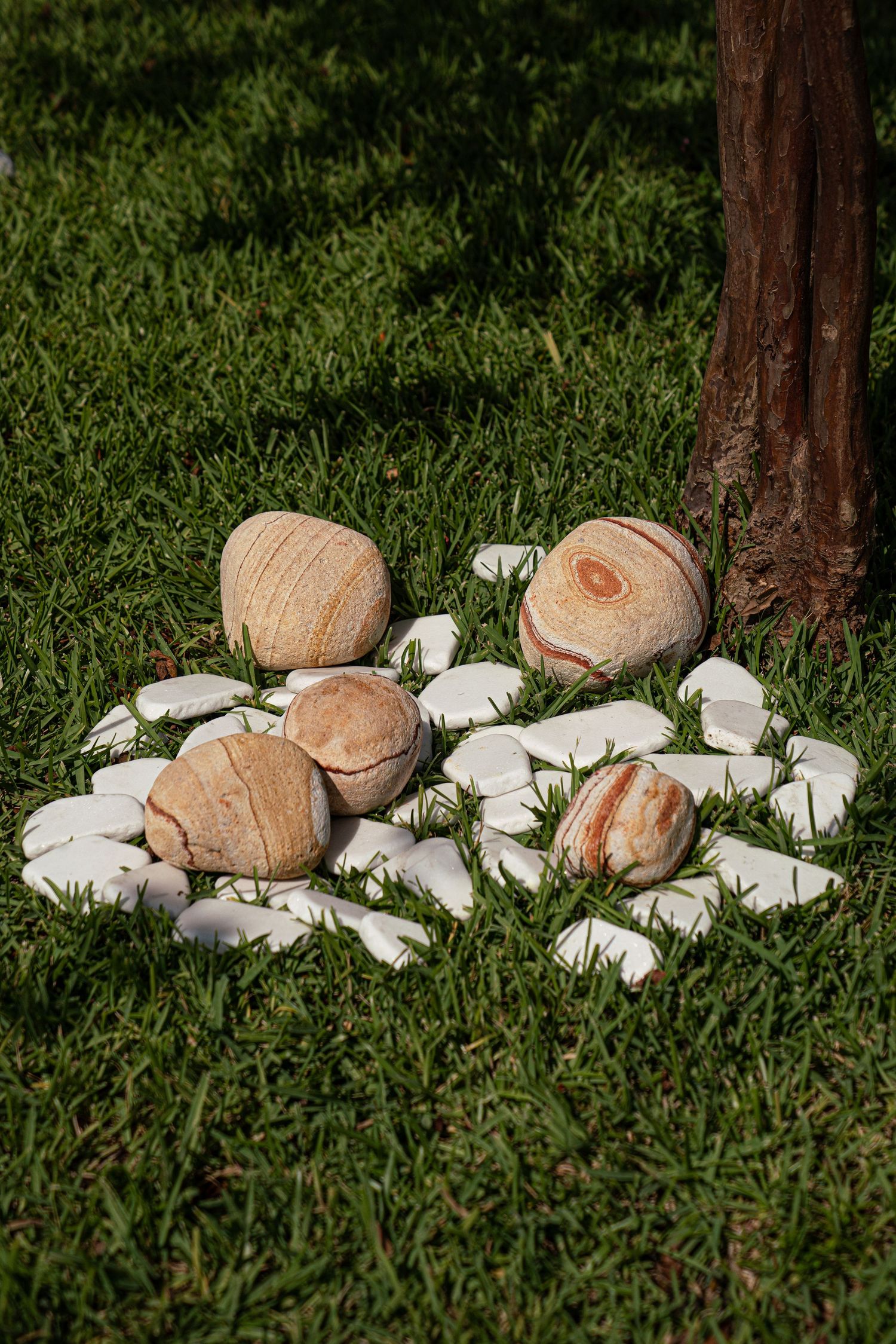 Large decorative stones arranged on white pebbles beside tree trunk in green grass.