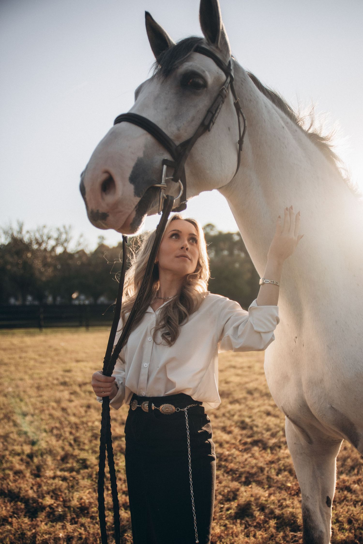 A serene countryside scene with a majestic white horse and rider in classic equestrian attire.