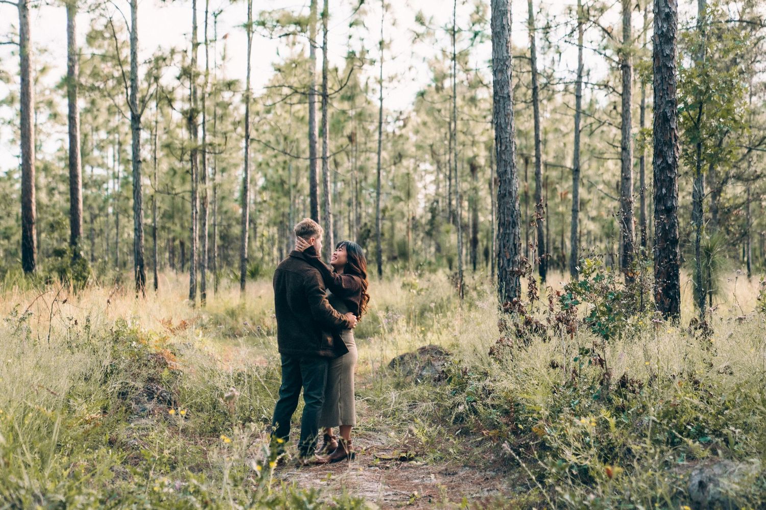 Wide panoramic view of a couple's photo session in a serene pine forest.