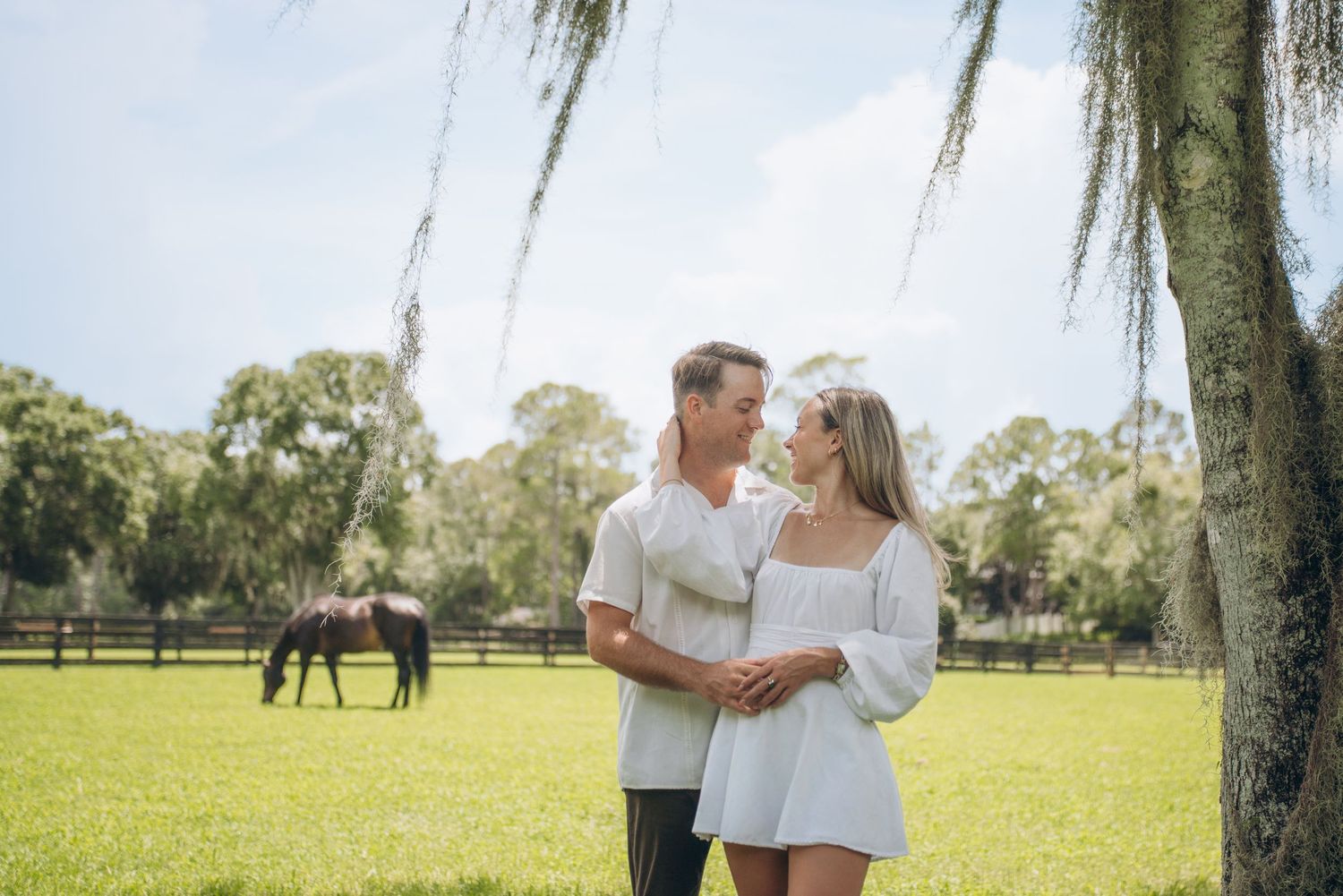 Romantic couple embraces in a sunny field with horses grazing in the background.