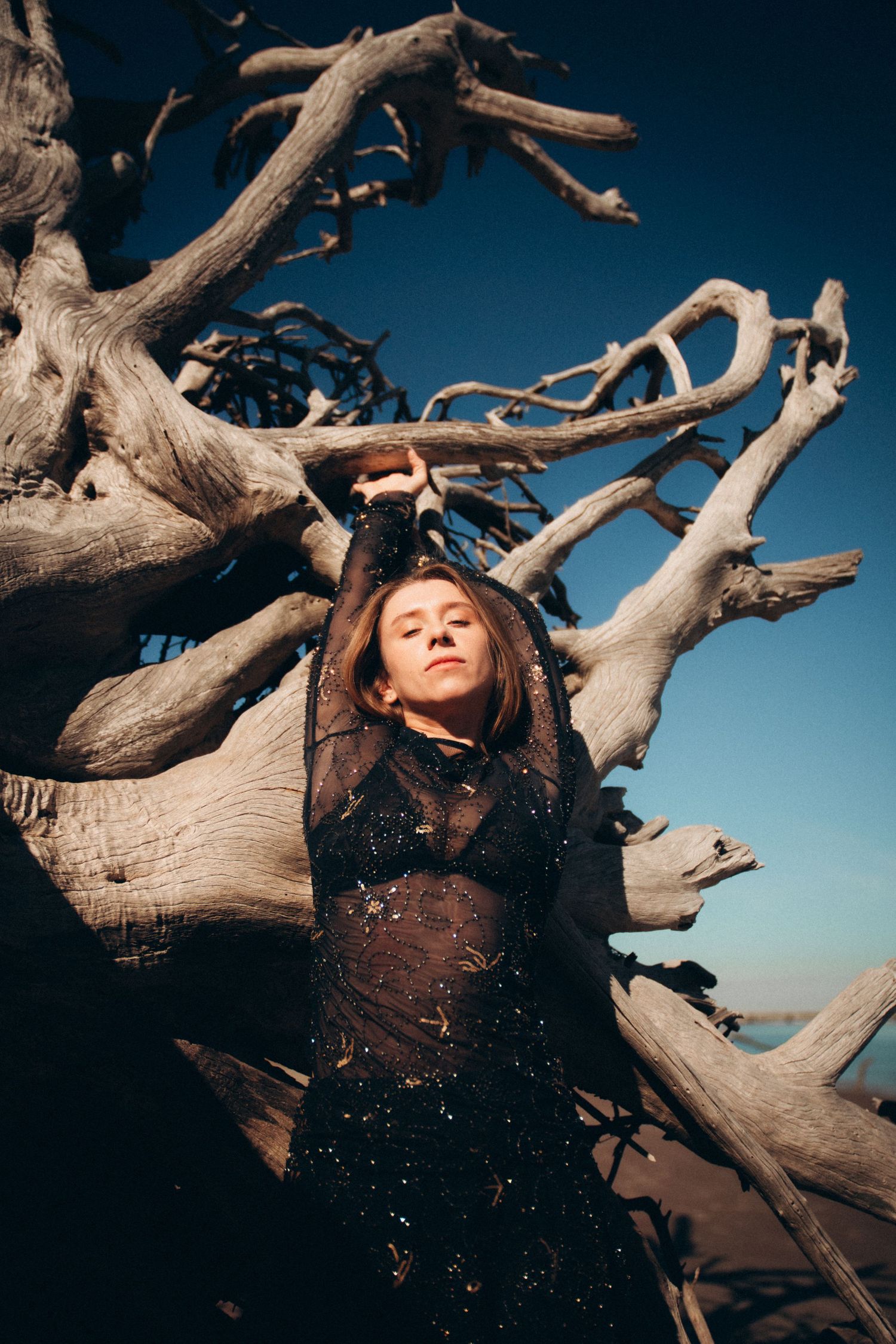 Artistic portrait composition with twisted driftwood branches against a deep blue sky creating natural framing.