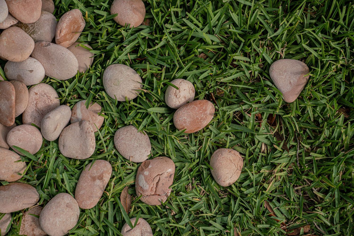 Pink and brown pebbles scattered on vibrant green grass in a natural outdoor garden setting.