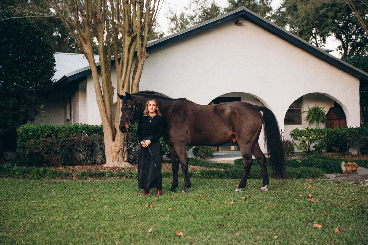 A dark horse stands beside a white stucco house with person in black clothing on a grassy lawn.