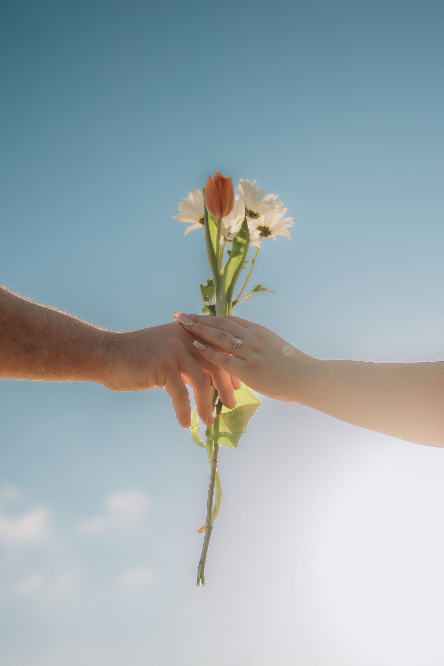 Hands exchanging white flowers against a bright blue sky background.