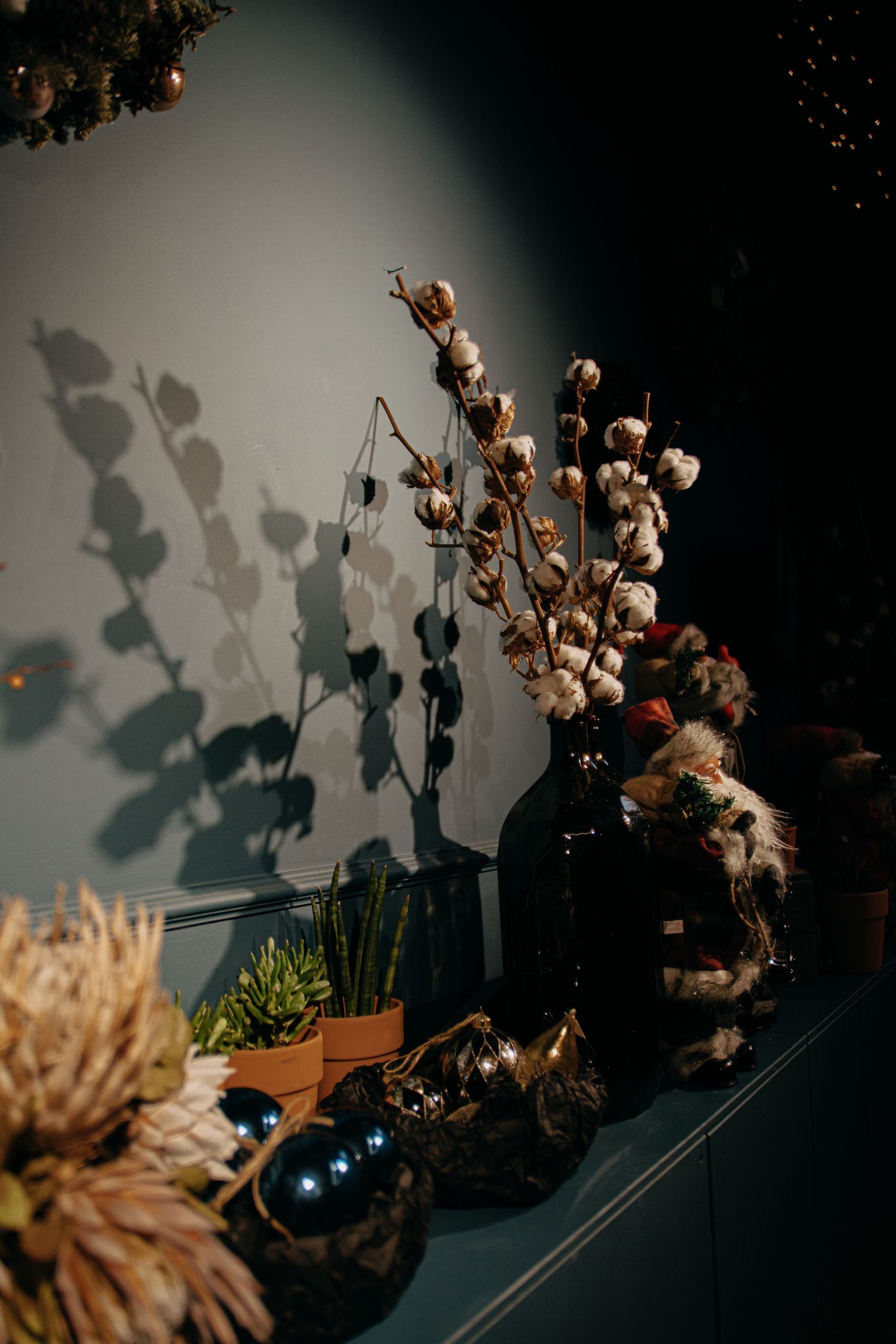 Dark moody floral display with cotton stems in glass vase, succulents, and holiday decorations on shelf.