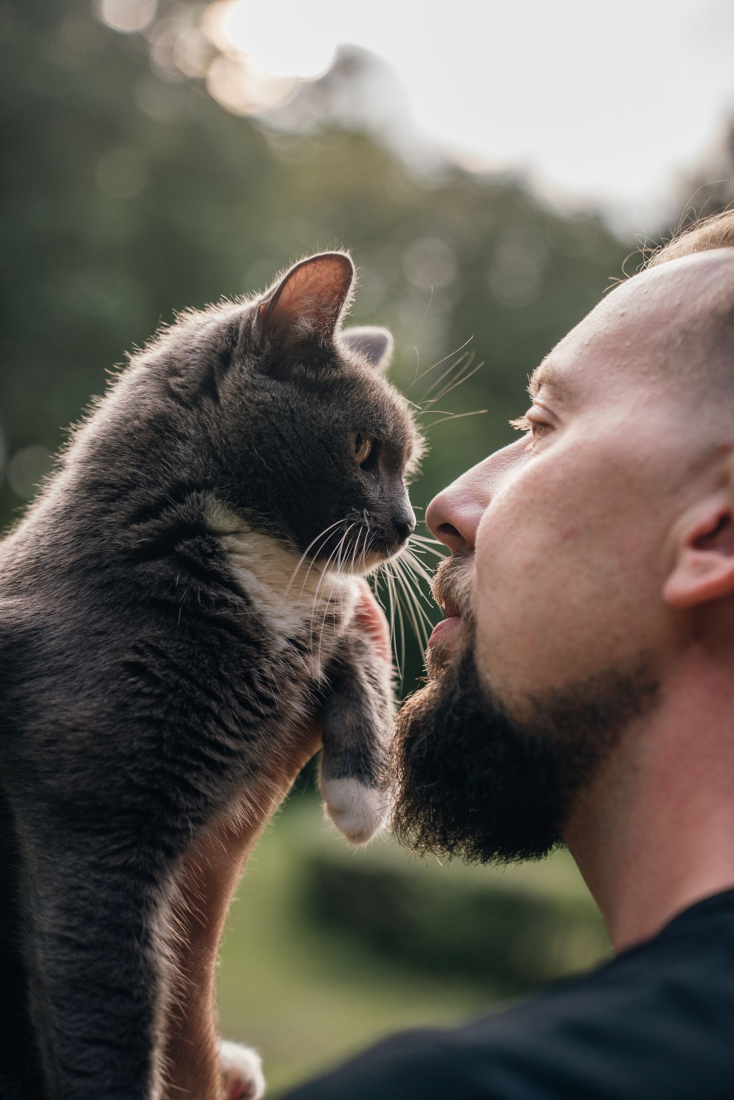 Bearded man holding a gray cat close to his face for a gentle nose kiss outdoors.