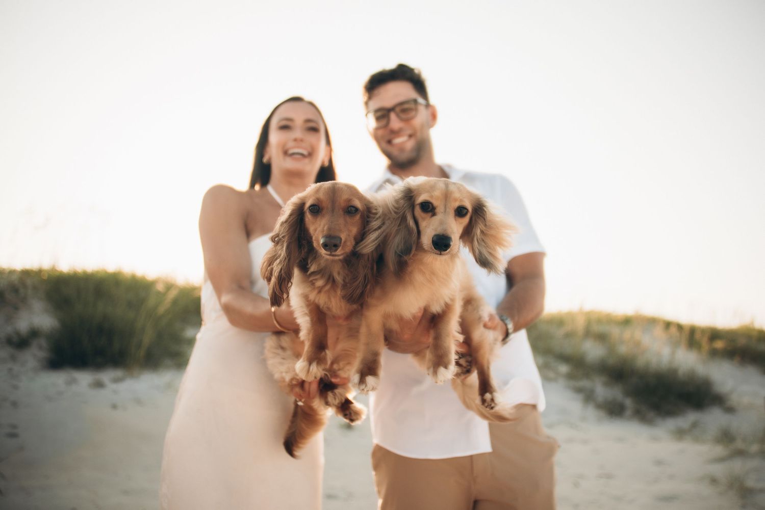 Smiling couple in white outfits holding two adorable dachshund dogs on a sandy beach at golden hour.